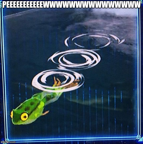 Speedy frog | PEEEEEEEEEEEWWWWWWWWWWWWWWW | image tagged in the legend of zelda breath of the wild | made w/ Imgflip meme maker