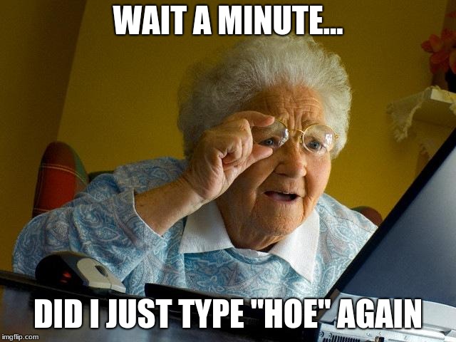 Grandma Finds The Internet Meme | WAIT A MINUTE... DID I JUST TYPE "HOE" AGAIN | image tagged in memes,grandma finds the internet | made w/ Imgflip meme maker