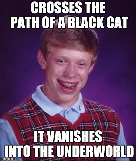 Brian vs black cat | CROSSES THE PATH OF A BLACK CAT; IT VANISHES INTO THE UNDERWORLD | image tagged in memes,bad luck brian | made w/ Imgflip meme maker