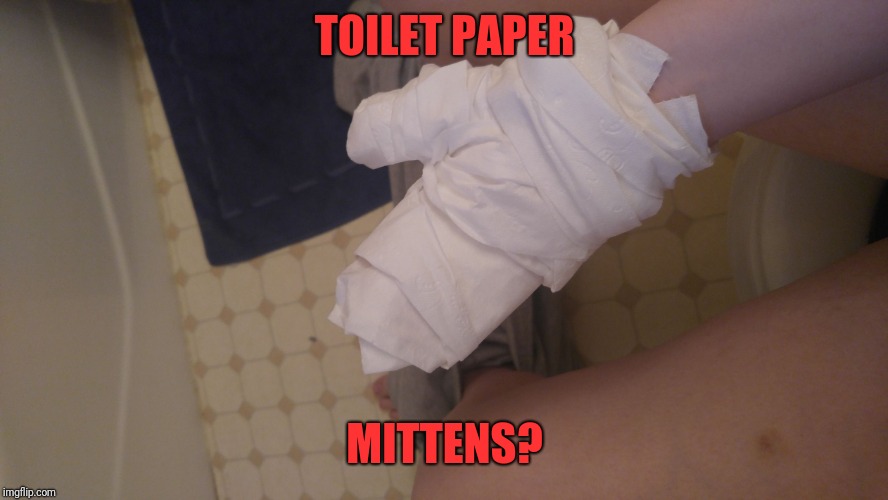 TP mitten | TOILET PAPER MITTENS? | image tagged in tp mitten | made w/ Imgflip meme maker