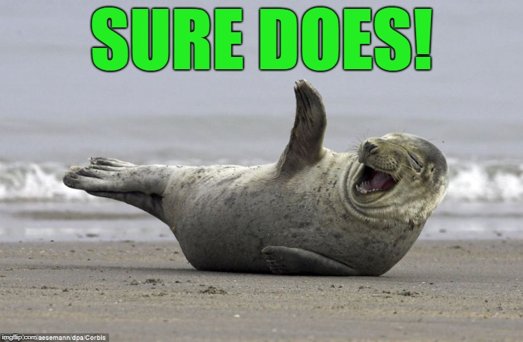 Laughing Seal | SURE DOES! | image tagged in laughing seal | made w/ Imgflip meme maker