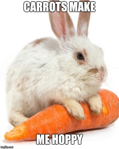 Rabbit | CARROTS MAKE; ME HOPPY | image tagged in rabbit | made w/ Imgflip meme maker