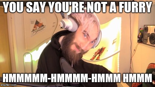 Pewdiepie HMM | YOU SAY YOU'RE NOT A FURRY HMMMMM-HMMMM-HMMM HMMM | image tagged in pewdiepie hmm | made w/ Imgflip meme maker