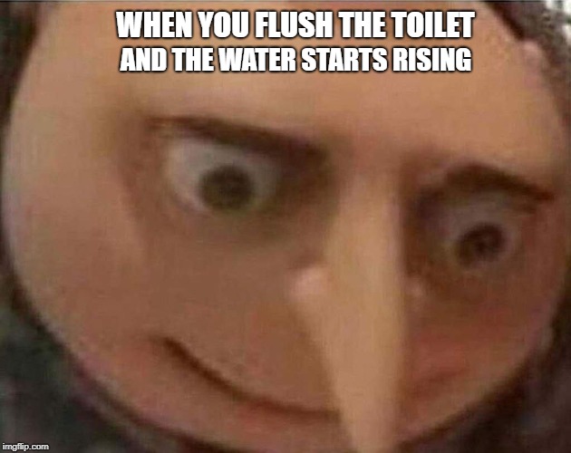 gru meme | WHEN YOU FLUSH THE TOILET; AND THE WATER STARTS RISING | image tagged in gru meme | made w/ Imgflip meme maker