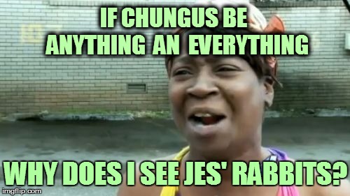'Splain me dat! | IF CHUNGUS BE  ANYTHING  AN  EVERYTHING; WHY DOES I SEE JES' RABBITS? | image tagged in memes,aint nobody got time for that | made w/ Imgflip meme maker