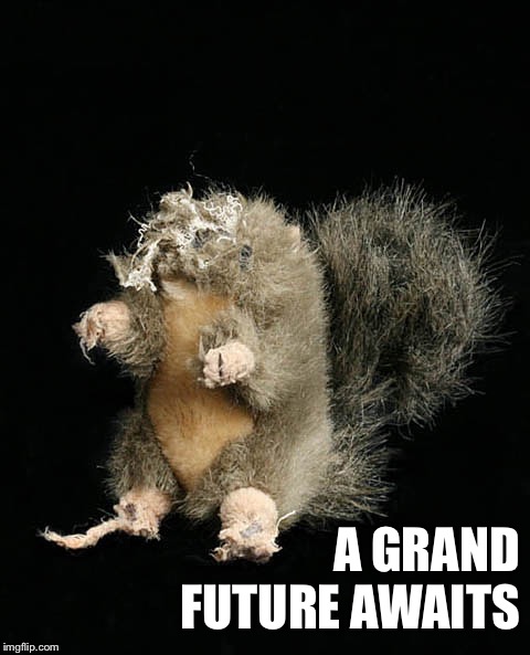 headless squirrel dog toy | A GRAND FUTURE AWAITS | image tagged in headless squirrel dog toy | made w/ Imgflip meme maker