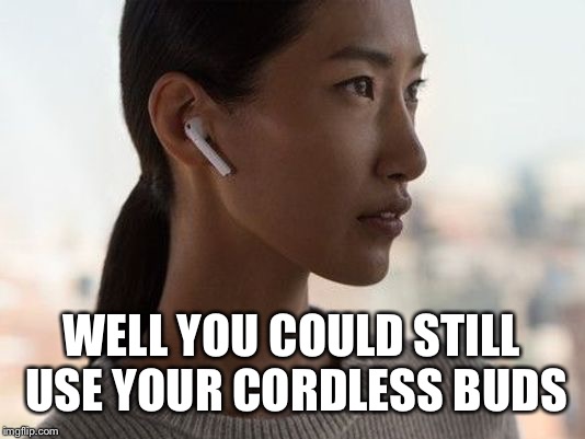 airpod | WELL YOU COULD STILL USE YOUR CORDLESS BUDS | image tagged in airpod | made w/ Imgflip meme maker
