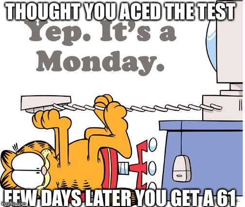My reaction after every test  | THOUGHT YOU ACED THE TEST; FEW DAYS LATER YOU GET A 61 | image tagged in garfield hates mondays,bad day | made w/ Imgflip meme maker