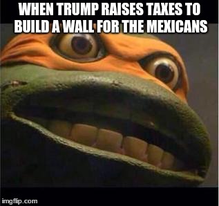 teen age mutant ninja turtle | WHEN TRUMP RAISES TAXES TO BUILD A WALL FOR THE MEXICANS | image tagged in teen age mutant ninja turtle | made w/ Imgflip meme maker