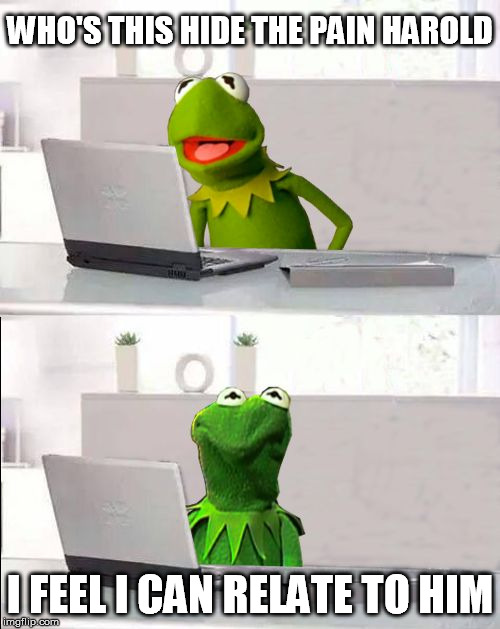 Hide The Pain Kermit |  WHO'S THIS HIDE THE PAIN HAROLD; I FEEL I CAN RELATE TO HIM | image tagged in hide the pain kermit | made w/ Imgflip meme maker