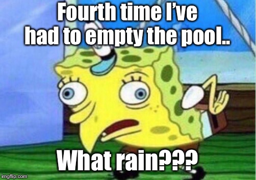 Mocking Spongebob Meme | Fourth time I’ve had to empty the pool.. What rain??? | image tagged in memes,mocking spongebob | made w/ Imgflip meme maker