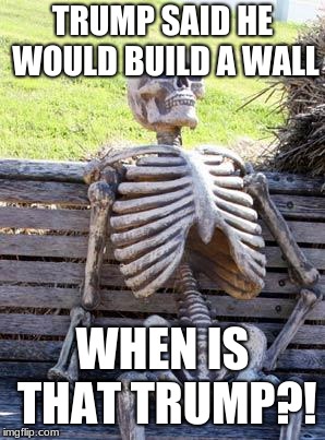 Waiting Skeleton | TRUMP SAID HE WOULD BUILD A WALL; WHEN IS THAT TRUMP?! | image tagged in memes,waiting skeleton | made w/ Imgflip meme maker