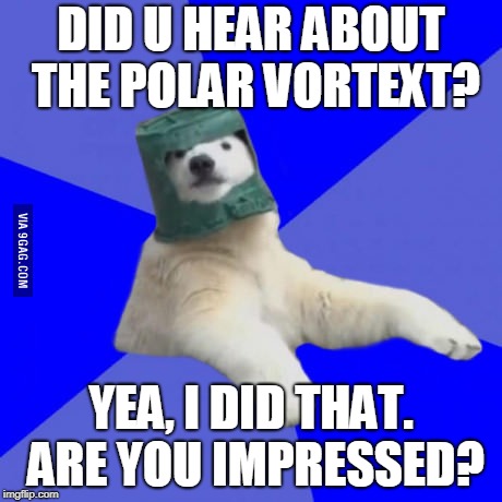Poorly prepared polar bear | DID U HEAR ABOUT THE POLAR VORTEXT? YEA, I DID THAT. ARE YOU IMPRESSED? | image tagged in poorly prepared polar bear | made w/ Imgflip meme maker