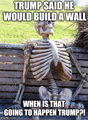 Waiting Skeleton | TRUMP SAID HE WOULD BUILD A WALL; WHEN IS THAT GOING TO HAPPEN TRUMP?! | image tagged in memes,waiting skeleton | made w/ Imgflip meme maker