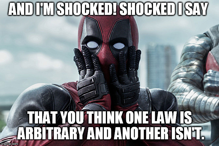 shocked deadpool | AND I'M SHOCKED! SHOCKED I SAY THAT YOU THINK ONE LAW IS ARBITRARY AND ANOTHER ISN'T. | image tagged in shocked deadpool | made w/ Imgflip meme maker