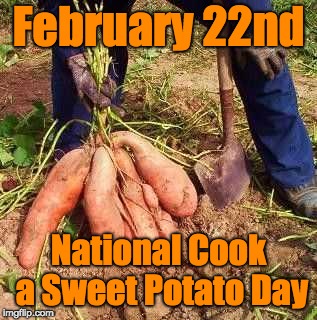 Sweet Potatoes  | February 22nd; National Cook a Sweet Potato Day | image tagged in farm,farmers | made w/ Imgflip meme maker
