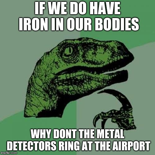 Philosoraptor | IF WE DO HAVE IRON IN OUR BODIES; WHY DONT THE METAL DETECTORS RING AT THE AIRPORT | image tagged in memes,philosoraptor | made w/ Imgflip meme maker