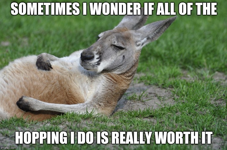 SOMETIMES I WONDER IF ALL OF THE; HOPPING I DO IS REALLY WORTH IT | image tagged in kangaroo | made w/ Imgflip meme maker