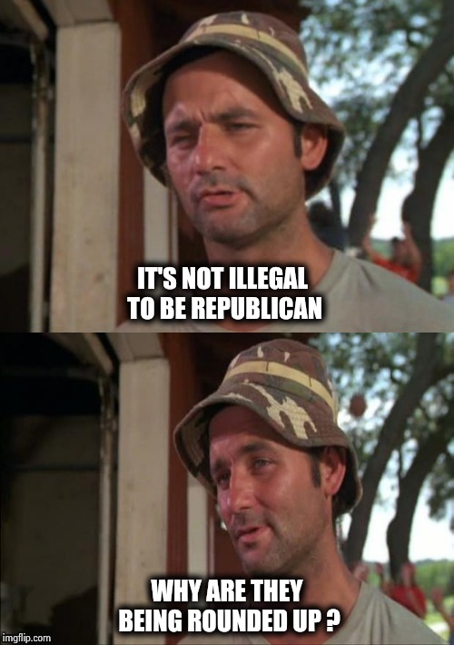 Bill Murray bad joke | IT'S NOT ILLEGAL TO BE REPUBLICAN WHY ARE THEY BEING ROUNDED UP ? | image tagged in bill murray bad joke | made w/ Imgflip meme maker