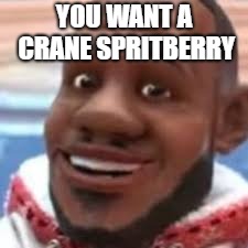 wanna sprite cranberry | YOU WANT A CRANE SPRITBERRY | image tagged in wanna sprite cranberry | made w/ Imgflip meme maker