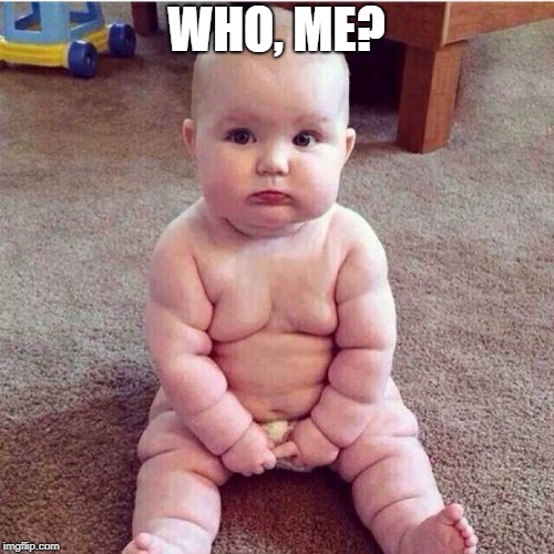 fat baby | WHO, ME? | image tagged in fat baby | made w/ Imgflip meme maker