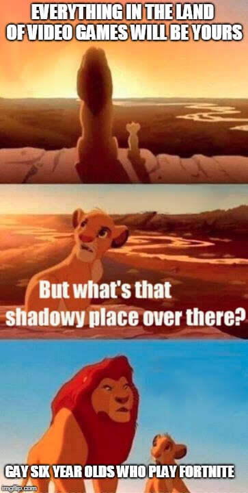 Simba Shadowy Place Meme | EVERYTHING IN THE LAND OF VIDEO GAMES WILL BE YOURS; GAY SIX YEAR OLDS WHO PLAY FORTNITE | image tagged in memes,simba shadowy place | made w/ Imgflip meme maker
