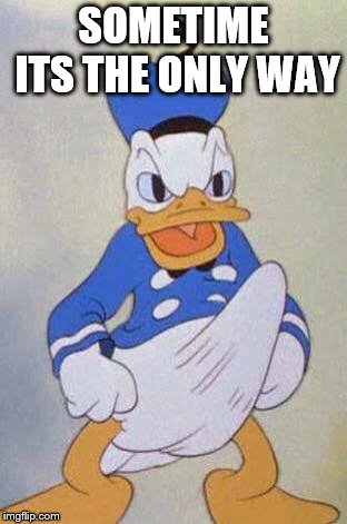 Horny Donald Duck | SOMETIME ITS THE ONLY WAY | image tagged in horny donald duck | made w/ Imgflip meme maker