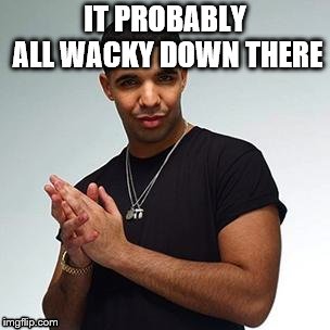 Horny Drake | IT PROBABLY ALL WACKY DOWN THERE | image tagged in horny drake | made w/ Imgflip meme maker