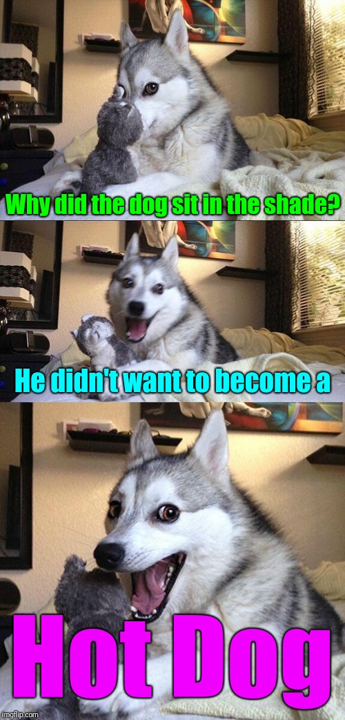 Bad Pun Dog | Why did the dog sit in the shade? He didn't want to become a; Hot Dog | image tagged in memes,bad pun dog | made w/ Imgflip meme maker