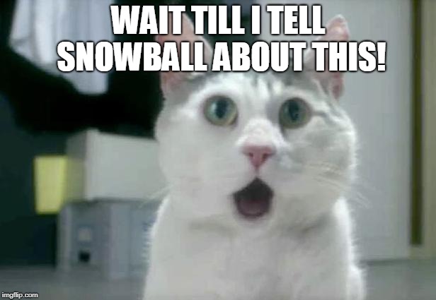 OMG Cat Meme | WAIT TILL I TELL SNOWBALL ABOUT THIS! | image tagged in memes,omg cat | made w/ Imgflip meme maker
