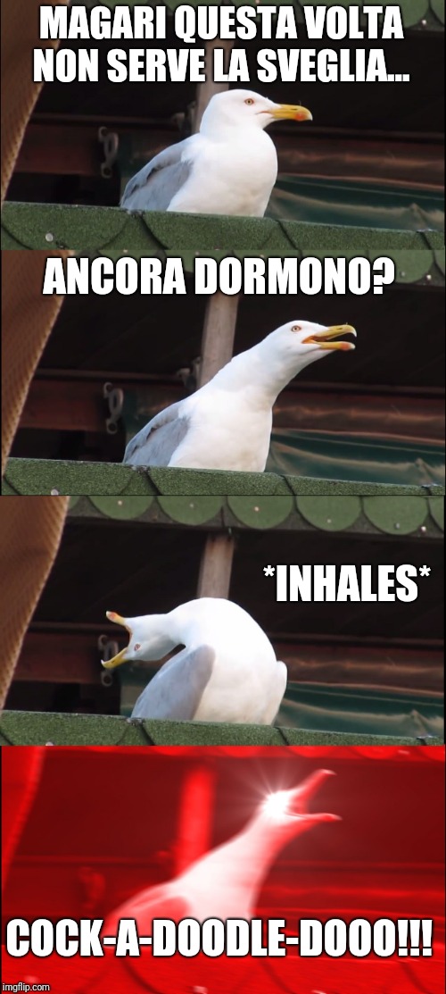 Inhaling Seagull Meme | MAGARI QUESTA VOLTA NON SERVE LA SVEGLIA... ANCORA DORMONO? *INHALES*; COCK﻿-A-﻿DOODLE-﻿DOOO﻿!!! | image tagged in memes,inhaling seagull | made w/ Imgflip meme maker