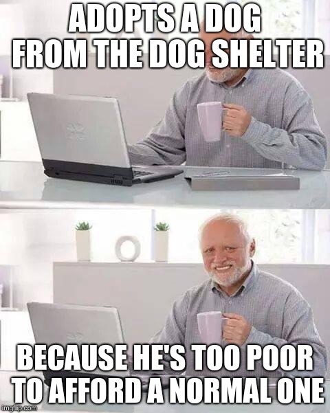 Man's Best Unaffordable Friend | ADOPTS A DOG FROM THE DOG SHELTER; BECAUSE HE'S TOO POOR TO AFFORD A NORMAL ONE | image tagged in memes,hide the pain harold | made w/ Imgflip meme maker