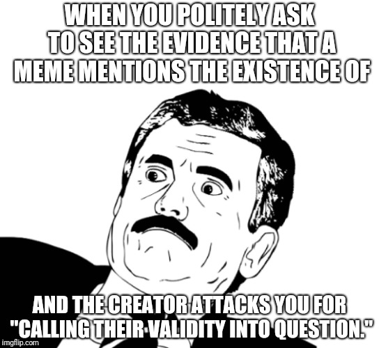 I just wanted to know what it was about! | WHEN YOU POLITELY ASK TO SEE THE EVIDENCE THAT A MEME MENTIONS THE EXISTENCE OF; AND THE CREATOR ATTACKS YOU FOR "CALLING THEIR VALIDITY INTO QUESTION." | image tagged in memes,politics,evidence,question,sorry | made w/ Imgflip meme maker