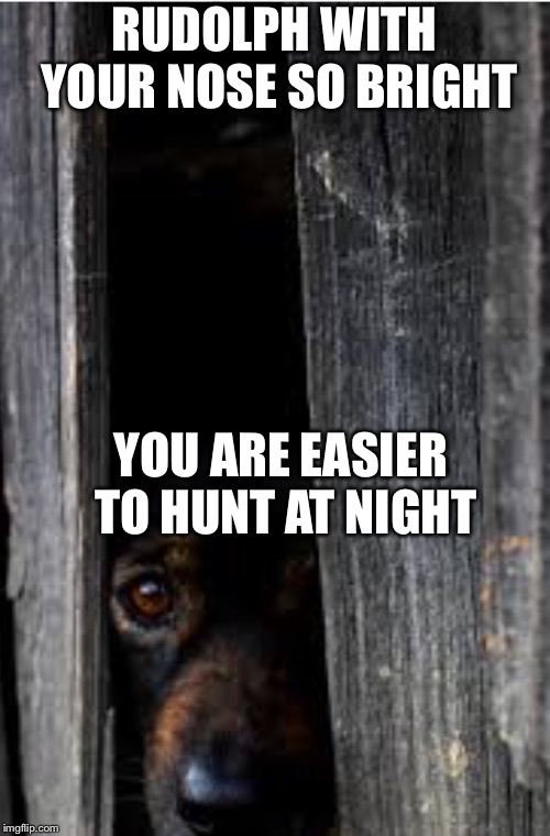 Why the other reindeer make fun of him | RUDOLPH WITH YOUR NOSE SO BRIGHT; YOU ARE EASIER TO HUNT AT NIGHT | image tagged in scary,dog | made w/ Imgflip meme maker