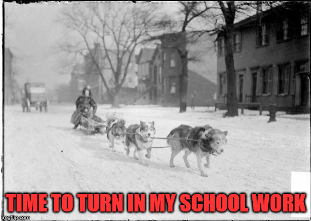 Dog Sled | TIME TO TURN IN MY SCHOOL WORK | image tagged in dog sled | made w/ Imgflip meme maker