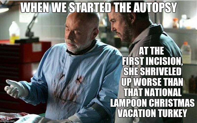 csi autopsy | WHEN WE STARTED THE AUTOPSY AT THE FIRST INCISION, SHE SHRIVELED UP WORSE THAN THAT NATIONAL LAMPOON CHRISTMAS VACATION TURKEY | image tagged in csi autopsy | made w/ Imgflip meme maker