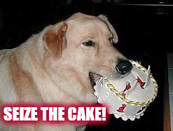 SEIZE THE CAKE! | SEIZE THE CAKE! | image tagged in birthday,happy birthday,cake,birthday cake,dog,labrador | made w/ Imgflip meme maker