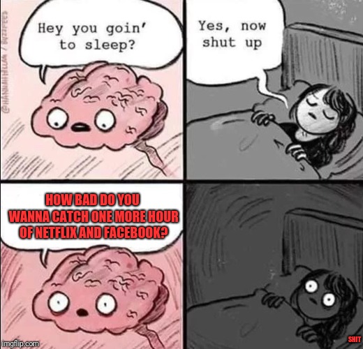 waking up brain | HOW BAD DO YOU WANNA CATCH ONE MORE HOUR OF NETFLIX AND FACEBOOK? SHIT | image tagged in waking up brain | made w/ Imgflip meme maker