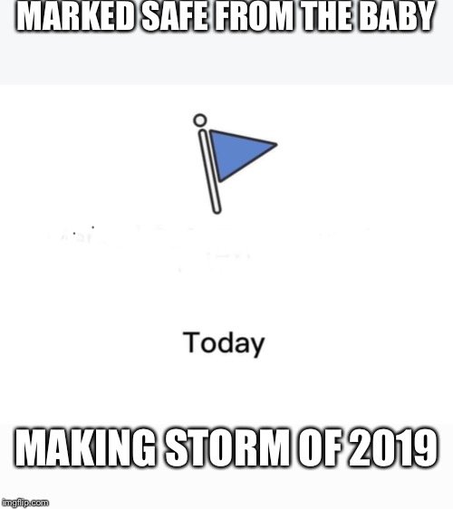 Marked safe from | MARKED SAFE FROM THE BABY; MAKING STORM OF 2019 | image tagged in marked safe from | made w/ Imgflip meme maker