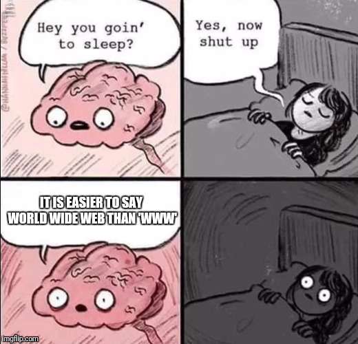 waking up brain | IT IS EASIER TO SAY WORLD WIDE WEB THAN 'WWW'; IT IS EASIER TO SAY WORLD WIDE WEB THAN 'WWW' | image tagged in waking up brain | made w/ Imgflip meme maker