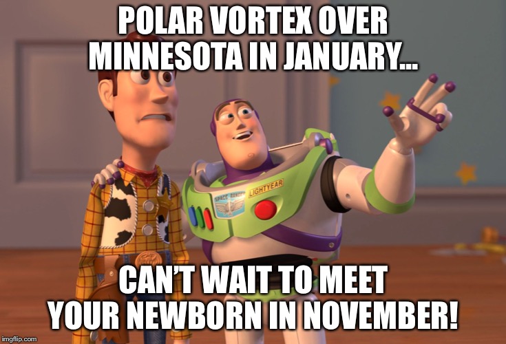 X, X Everywhere | POLAR VORTEX OVER MINNESOTA IN JANUARY... CAN’T WAIT TO MEET YOUR NEWBORN IN NOVEMBER! | image tagged in memes,x x everywhere | made w/ Imgflip meme maker