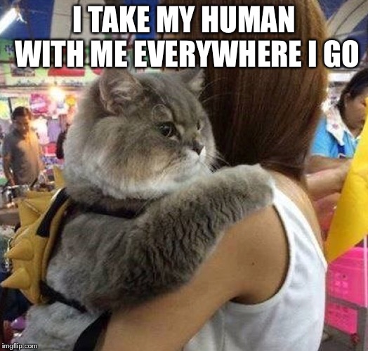 I TAKE MY HUMAN WITH ME EVERYWHERE I GO | made w/ Imgflip meme maker