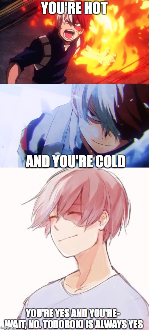 YOU'RE HOT; AND YOU'RE COLD; YOU'RE YES AND YOU'RE- WAIT, NO. TODOROKI IS ALWAYS YES | image tagged in todoboi | made w/ Imgflip meme maker