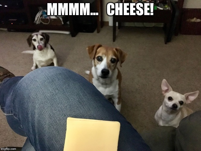 3 Beggers | MMMM...   CHEESE! | image tagged in 3 beggers | made w/ Imgflip meme maker