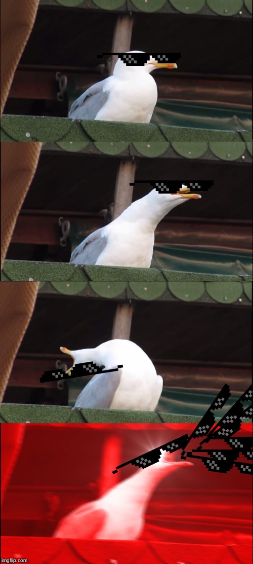 Inhaling Seagull | image tagged in memes,inhaling seagull | made w/ Imgflip meme maker