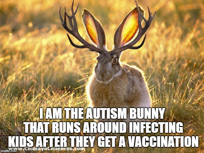 I AM THE AUTISM BUNNY THAT RUNS AROUND INFECTING KIDS AFTER THEY GET A VACCINATION | image tagged in jackalope,memes | made w/ Imgflip meme maker