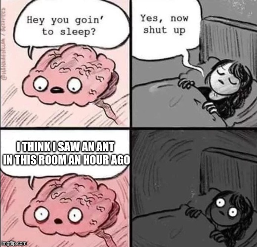 waking up brain |  I THINK I SAW AN ANT IN THIS ROOM AN HOUR AGO | image tagged in waking up brain | made w/ Imgflip meme maker