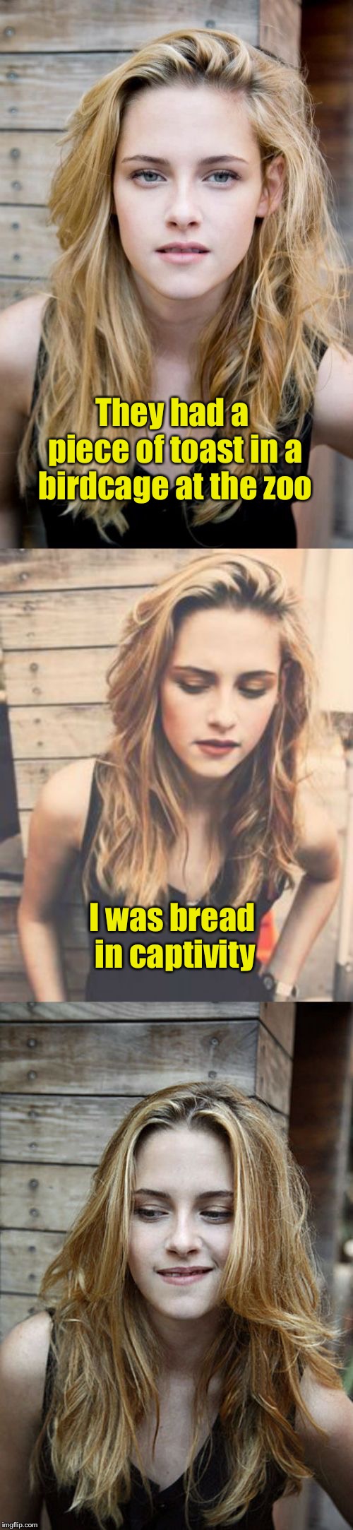 Bad Pun Kristen Stewart 2 | They had a piece of toast in a birdcage at the zoo; I was bread in captivity | image tagged in bad pun kristen stewart 2 | made w/ Imgflip meme maker