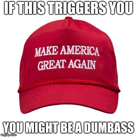 Dumbass Libs | IF THIS TRIGGERS YOU; YOU MIGHT BE A DUMBASS | image tagged in maga | made w/ Imgflip meme maker