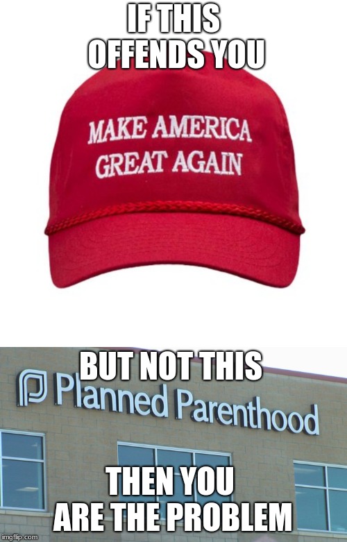 You're the Problem | IF THIS OFFENDS YOU; BUT NOT THIS; THEN YOU ARE THE PROBLEM | image tagged in planned abortionhood,maga | made w/ Imgflip meme maker